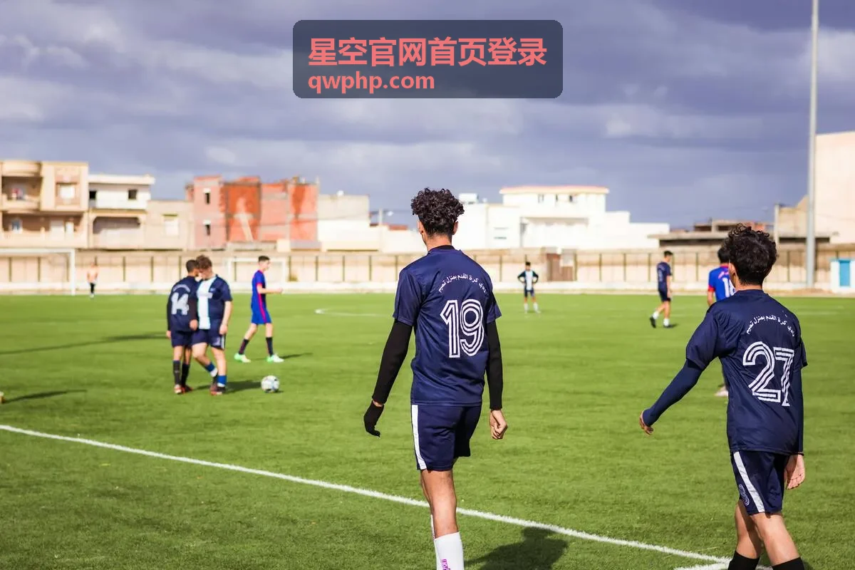 星空官网首页登录常用设置与偏好模块示意